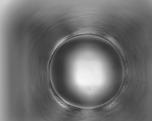 X0000060791242200511141435