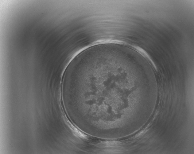 X0000060791244200511141435