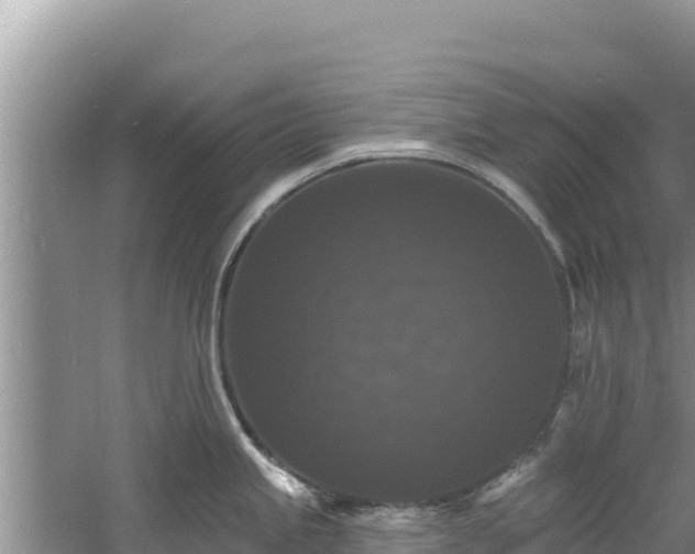 X0000060791245200511141435