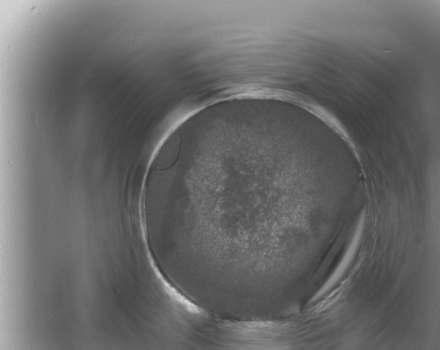 X0000060791247200511141435