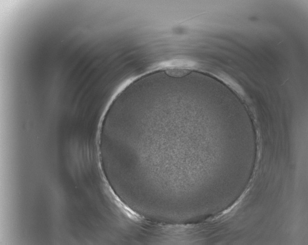 X0000060791248200511141435