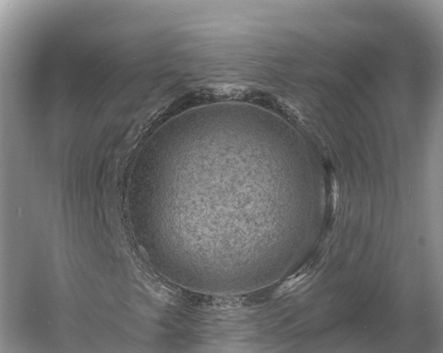 X0000060791249200511141434