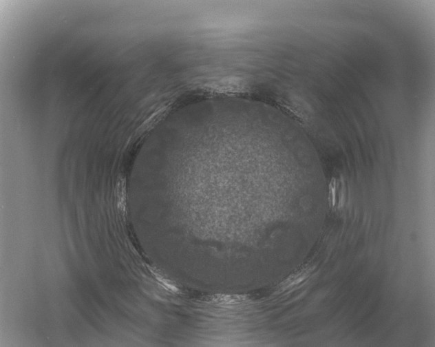 X0000060791251200511141434