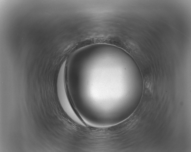 X0000060791252200511141434