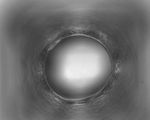 X0000060791253200511141434