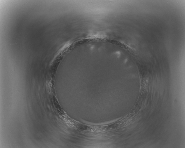 X0000060791254200511141434