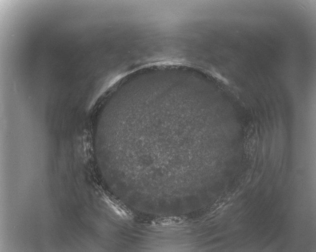 X0000060791255200511141434