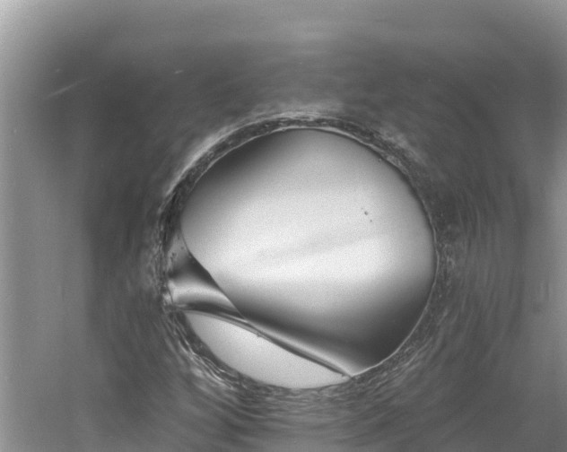 X0000060791256200511141434