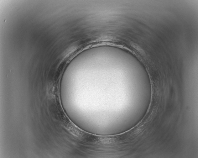 X0000060791258200511141434