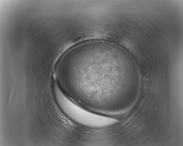 X0000060791260200511141434