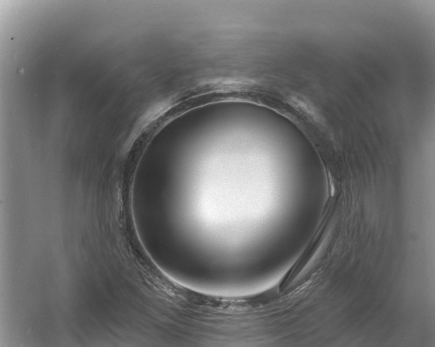 X0000060791261200511141434