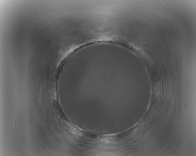 X0000060791262200511141434