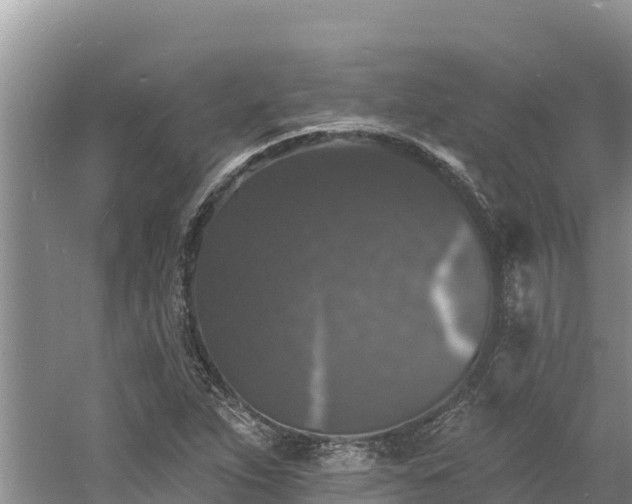 X0000060791263200511141434