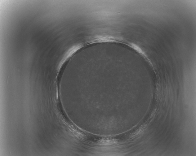 X0000060791269200511141434