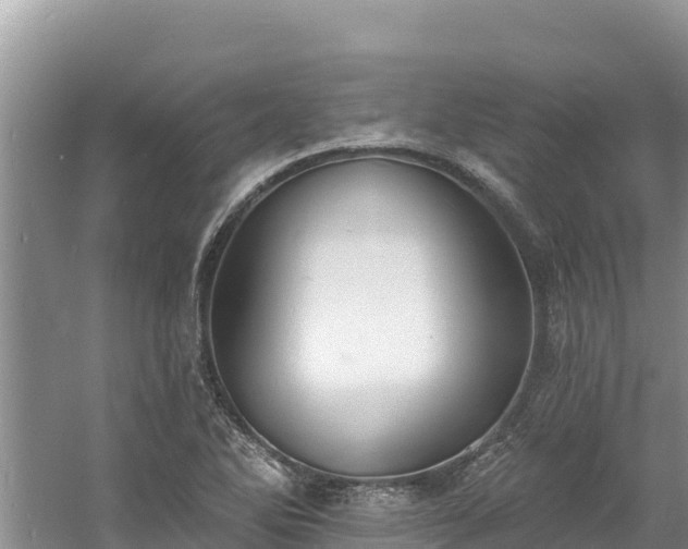 X0000060791270200511141434