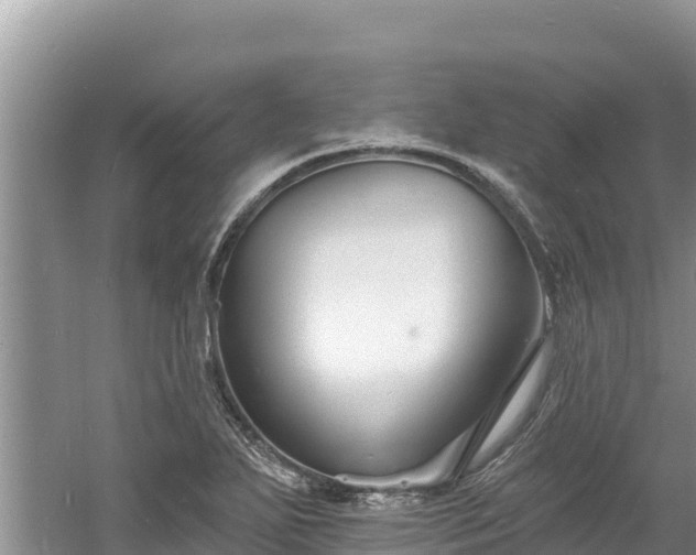 X0000060791271200511141434