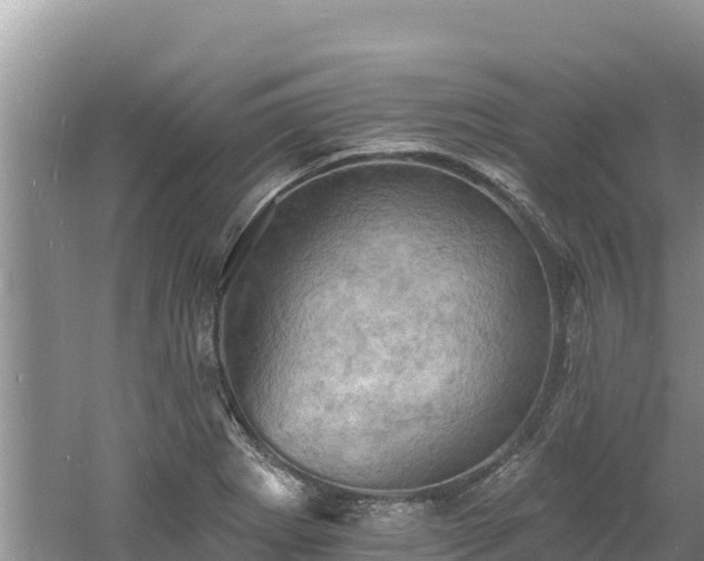 X0000060791273200511141434