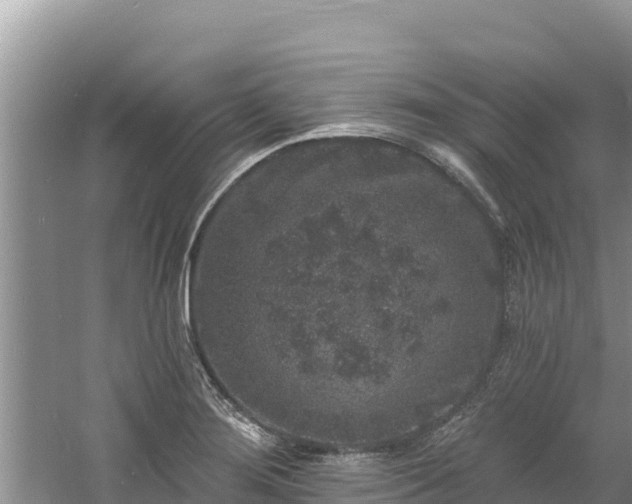 X0000060791276200511141434