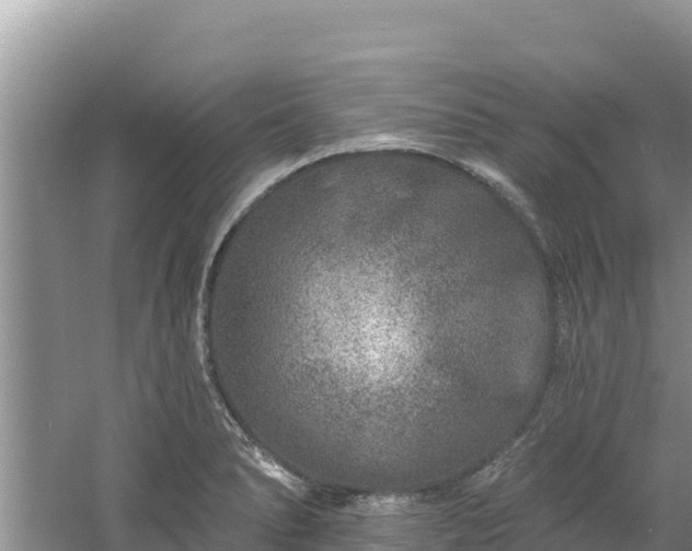 X0000060791278200511141434