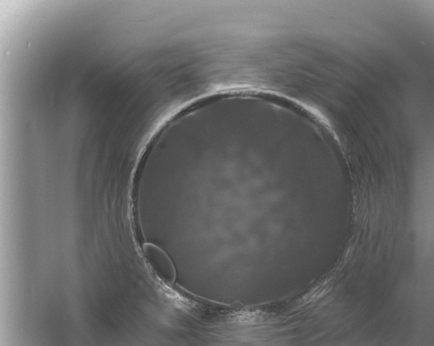 X0000060791279200511141434