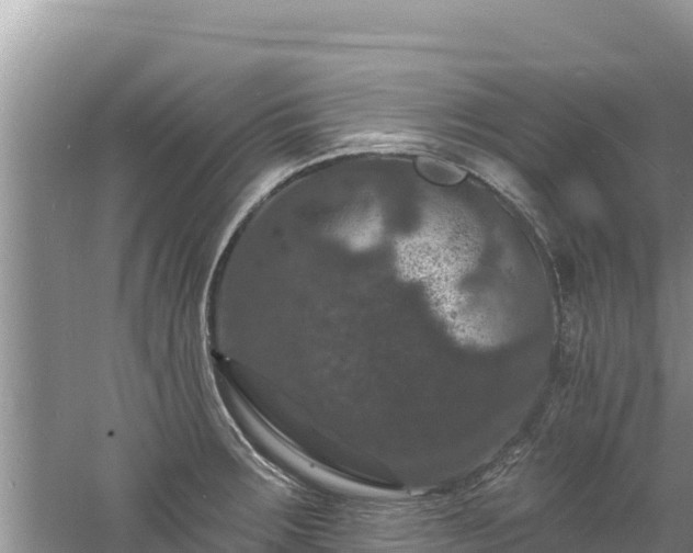 X0000060791283200511141434