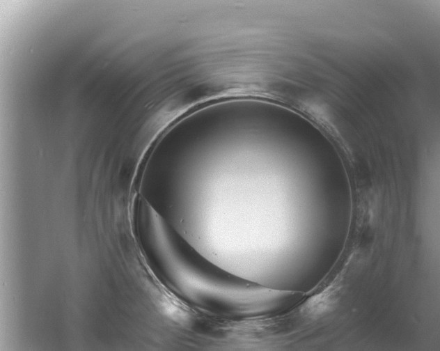 X0000060791284200511141434