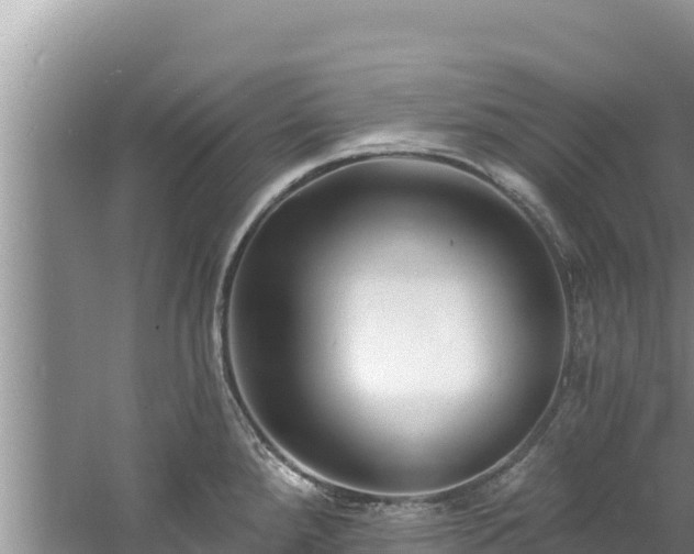 X0000060791288200511141434