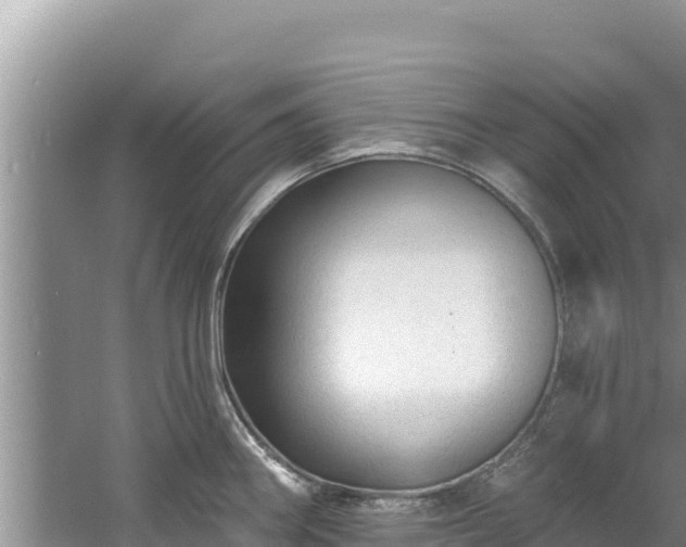 X0000060791290200511141434