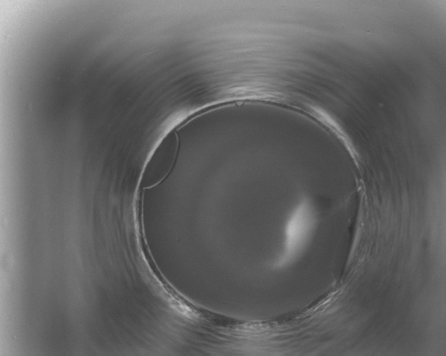 X0000060791291200511141434