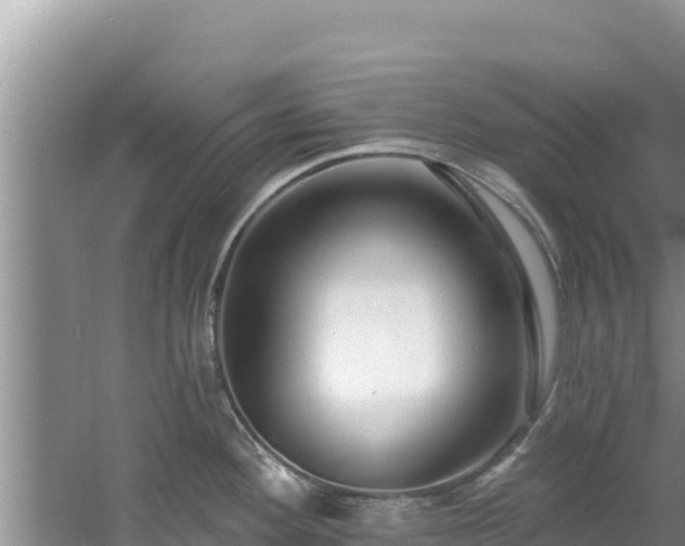 X0000060791292200511141434