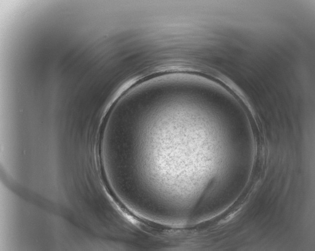 X0000060791293200511141434