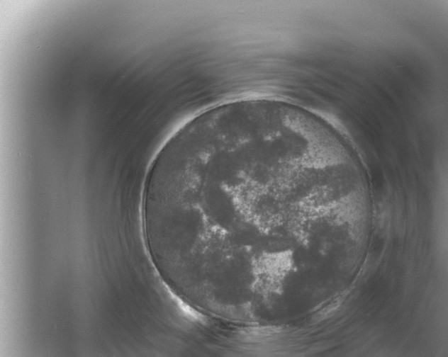 X0000060791294200511141434