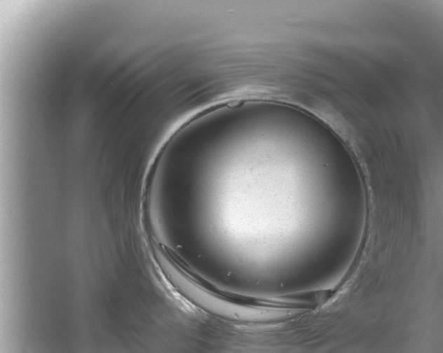 X0000060791296200511141433