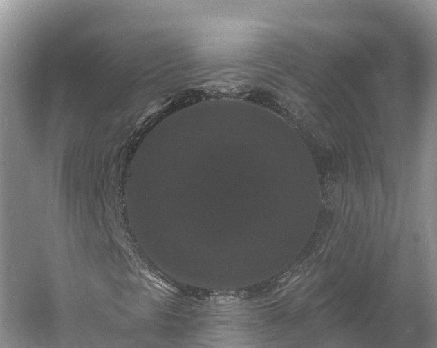 X0000060791297200511141433