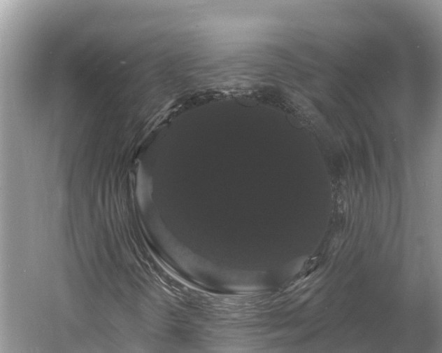 X0000060791298200511141433