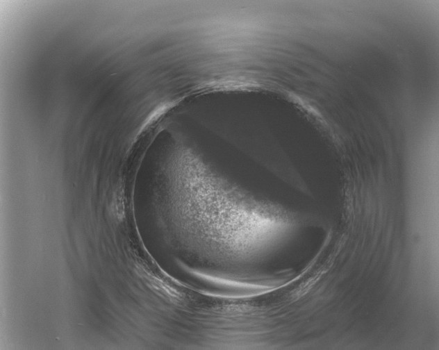 X0000060791306200511141433