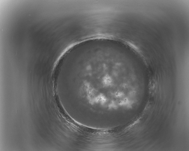 X0000060791310200511141433