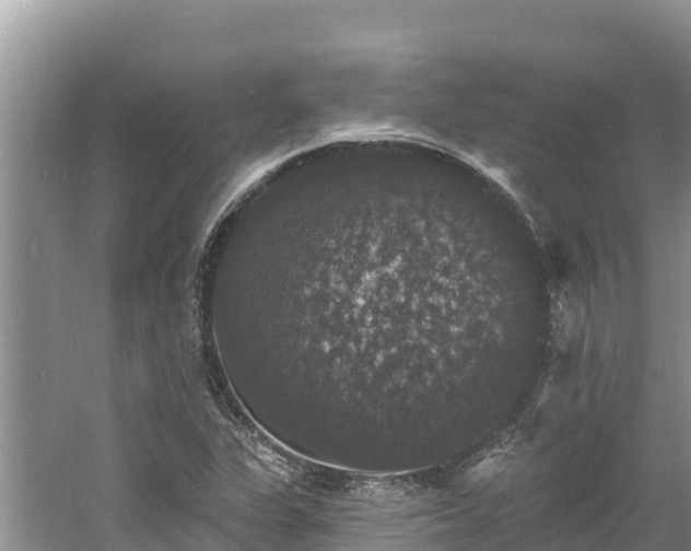 X0000060791311200511141433