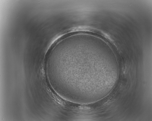 X0000060791312200511141433