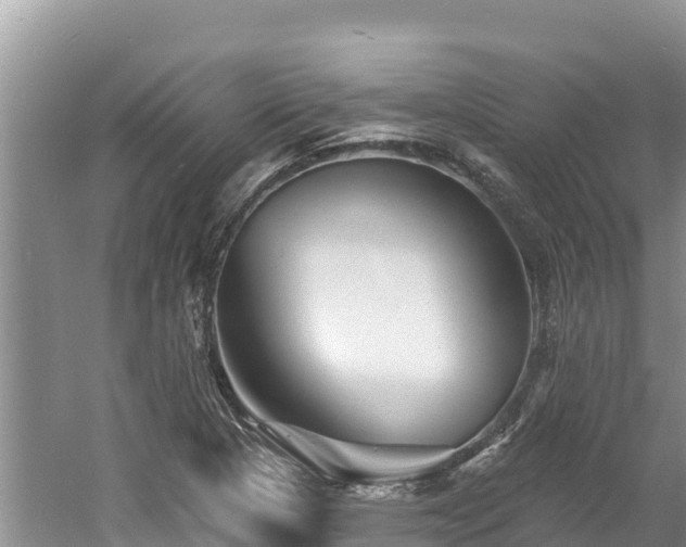 X0000060791313200511141433