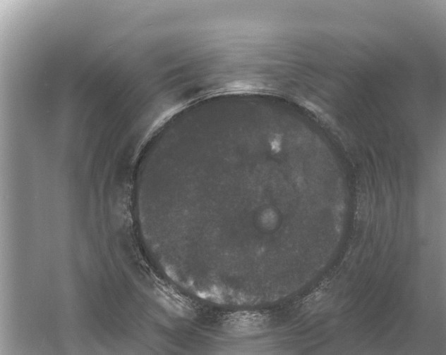 X0000060791314200511141433