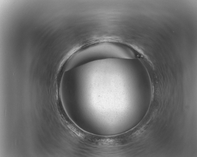 X0000060791317200511141433