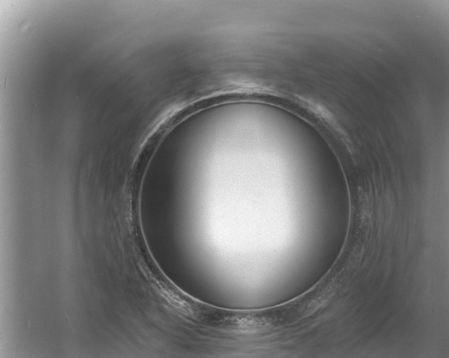 X0000060791318200511141433