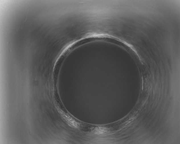 X0000060791319200511141433