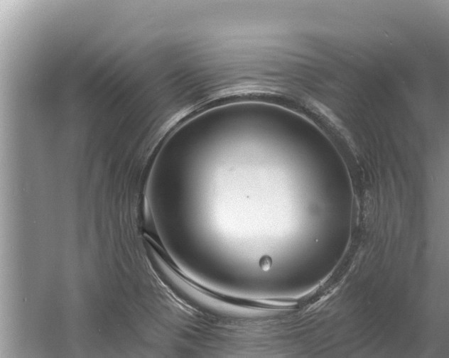 X0000060791321200511141433