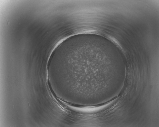 X0000060791324200511141433