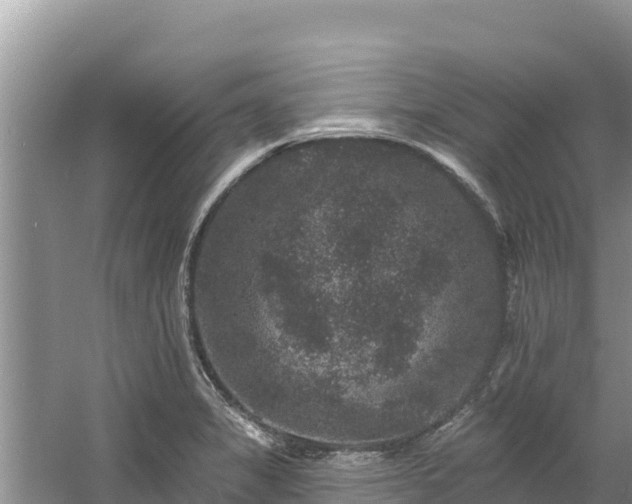 X0000060791325200511141433