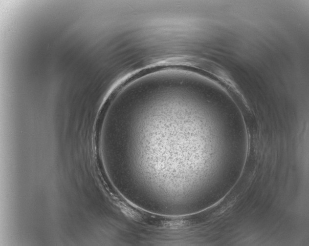 X0000060791328200511141433