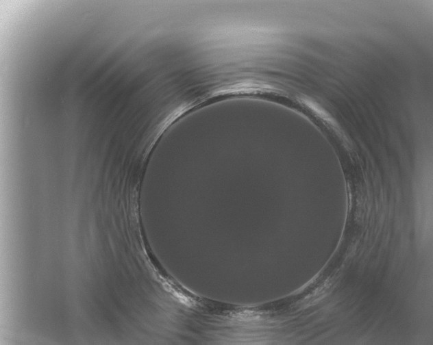 X0000060791329200511141433