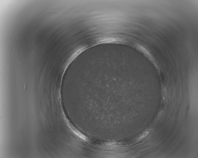 X0000060791330200511141433